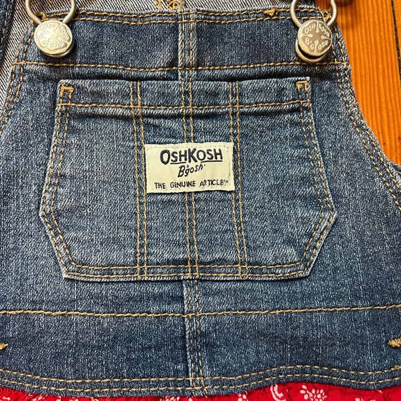 OSHKOSH B'gosh Toddler Sz 12 months Denim Paisley Printed Jumper/Dress - Picture 4 of 9